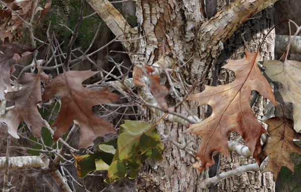 New Camo Seat Covers
